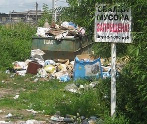 Примерно 50% нелегальных свалок ликвидировано в ЦФО