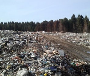 В Курганской области за два года ликвидировали около 700 свалок на 60 га